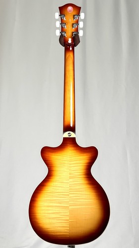 Hofner hct 4800 - hct-4800, leader