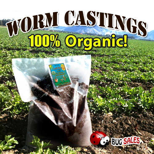 Earthworm castings pounds - earthworm, 10