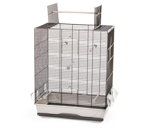 Cage oiseaux pour - oiseaux,