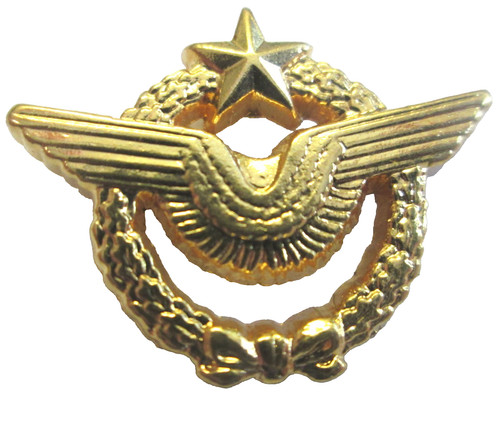 Brevet miniature pilote de - brevet,