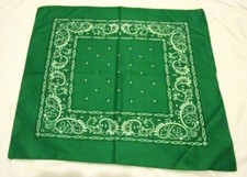 Paisley Green Bandanna Face