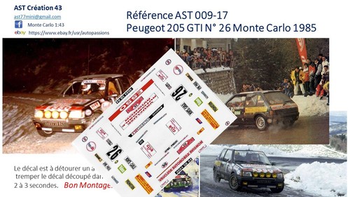 Decal peugeot 205 - 1,