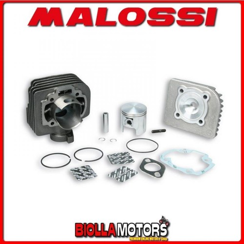 318723 cylindre kit - kit, malossi