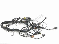 FAISCEAU ELECTRIQUE TRIUMPH TRIDENT 2021-2023 / NE 58103