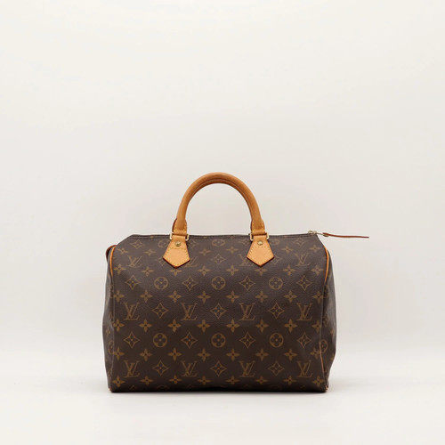 Sac main louis vuitton - main,
