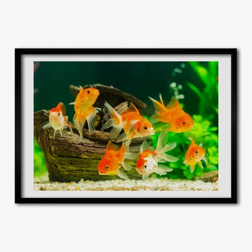 Tulup photo cadre 100x70cm - cadre,
