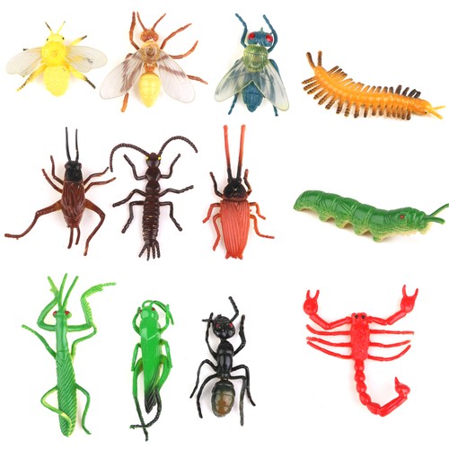 Jouet modèle insecte - jouet, d'insecte