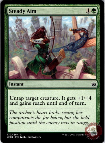 Steady aim 177 common - 177,