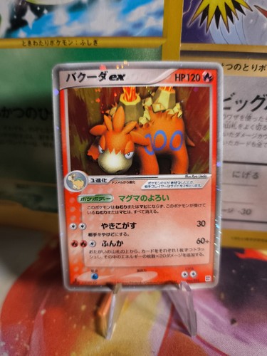 Carte pokemon card holo - pokemon,
