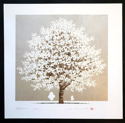 Hajime namiki dogwood - 8,