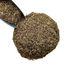 Tisane Achillée millefeuille plante Achillea millefolium