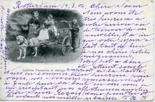 CARTE POSTALE BELGIQUE / ATTELAGE DE CHIENS / LAITIERES FLAMANDES ET ATTELAGE