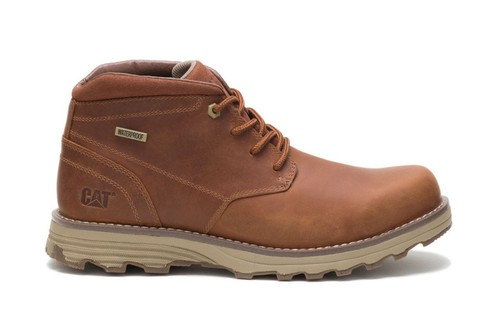 Chat caterpillar homme - chat,