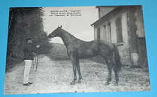 CPA 29 - HARAS-du-PIN - "Algérien" - Etalon de pur-sang anglais par Rabelais