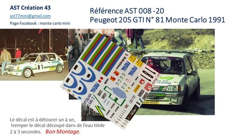 Decal peugeot 205 gti n - decal,