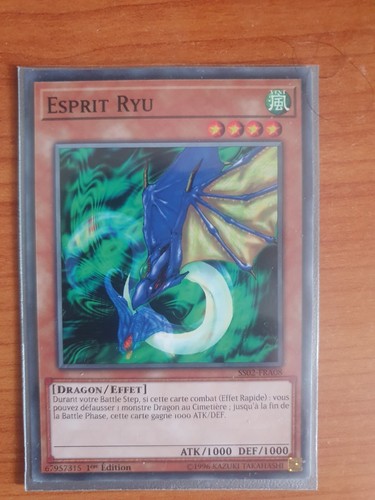 Carte esprit ryu - gi,