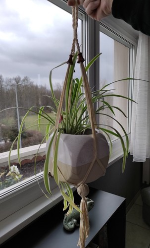Macrame pour plante suspendue - macrame,