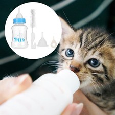 Chat Chien Bouteille de lait