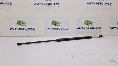 904500004r amortisseur hayon - ,