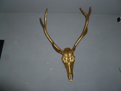 Trophée cerf est de - l'est,
