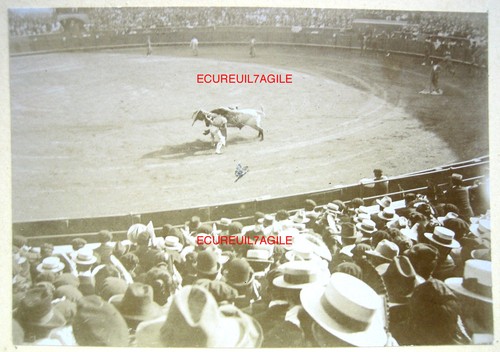 Lot photos corrida arenes - 4,