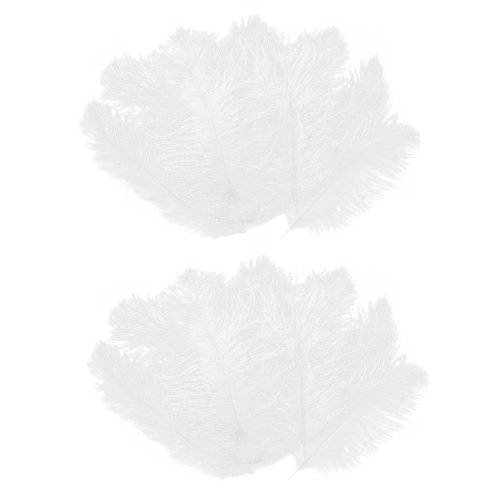 Pièces plume autruche - 20, d'autruche