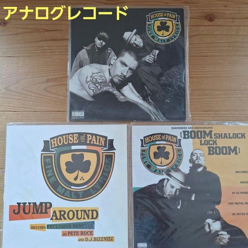 House pain vinyl - house,