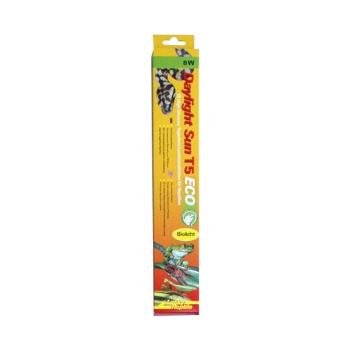 Lucky reptile daylight - reptile,