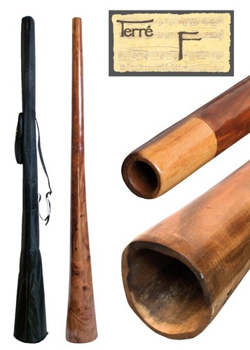 Handmade didgeridoo eucalyptus - didgeridoo,