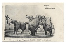 CPA Cirque Barnum Bailey 75000 Paris 10 Cartes postales anciennes Série complète