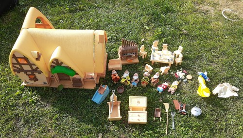 Maison chaumiere disney - chaumiere,