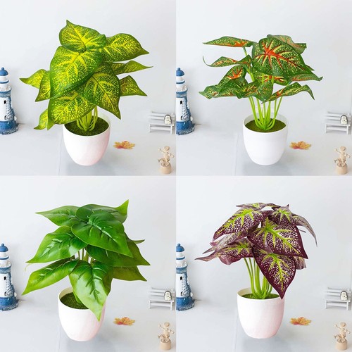 Plante pot décoration de - en,