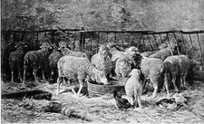 BERGERIE (de Ch. Jacque) -