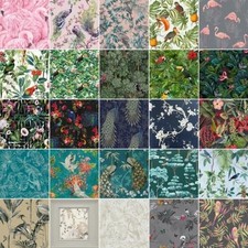 Exotique & Tropical Oiseaux