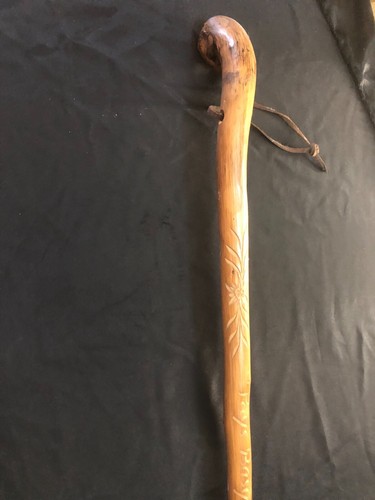 Grande canne baton bois racine - grande,