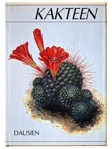 Cactus rudolf slaba - slaba,