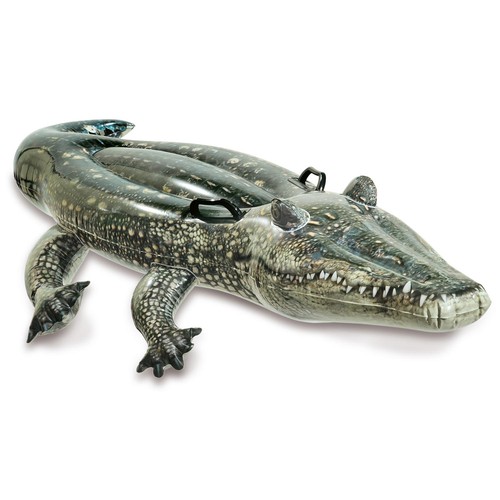Alligator gonflable pour - , la