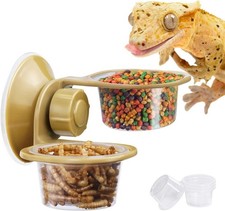 Gamelle pour reptiles -