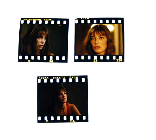 Jane birkin mouton enrage - birkin,
