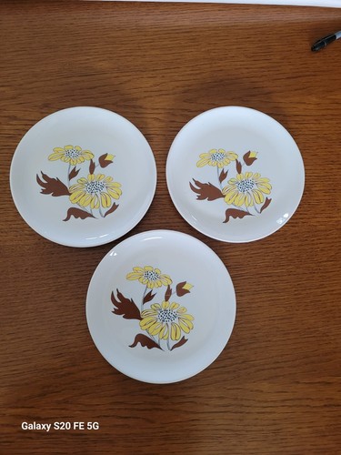 Assiettes plates fleurs jaunes - fleurs,
