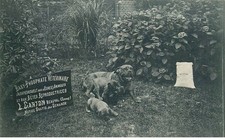 SOMME  BEAUVAL  publicité  L.Carton  vétérinaire