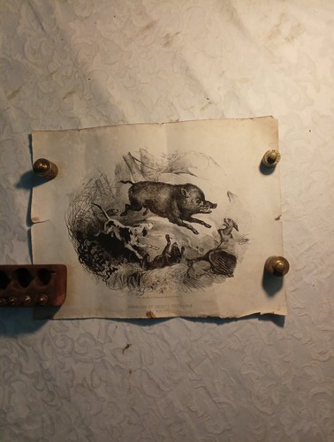 Estampe ancienne xixe - ancienne,