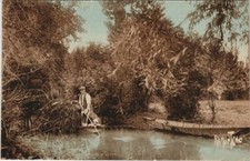 CPA Le Marais Poitevin - La Venise Verte (1140567)