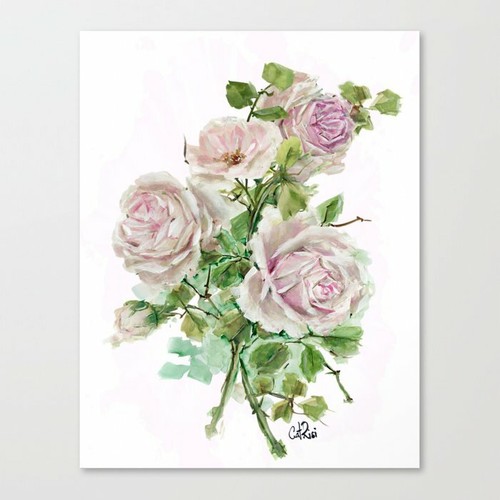 Gorgeous blush pink rose - gorgeous,