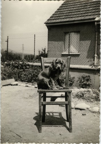 Photo ancienne vintage - photo,