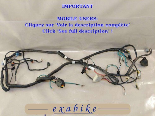 Faisceau electrique pour - electrique,