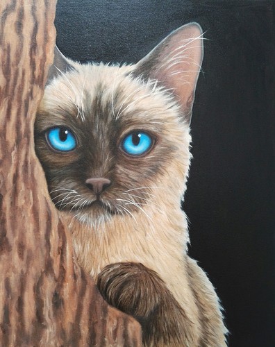 Peinture chat huile - peinture,,