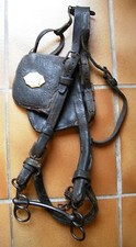 ANCIEN LICOL OU BRIDE DE CHEVAL EN CUIR