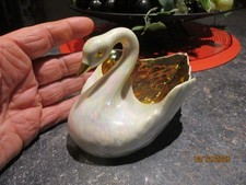 Superbe Gros Cygne vide poche