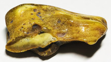 Pierre d'ambre ambre brut